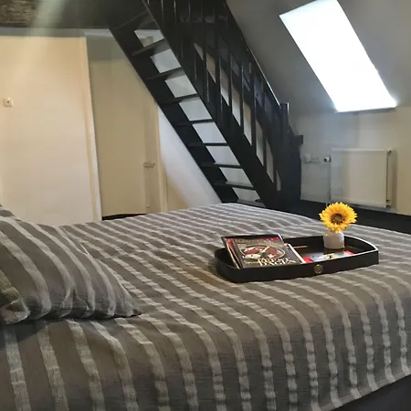 호텔 Kasteel 4*