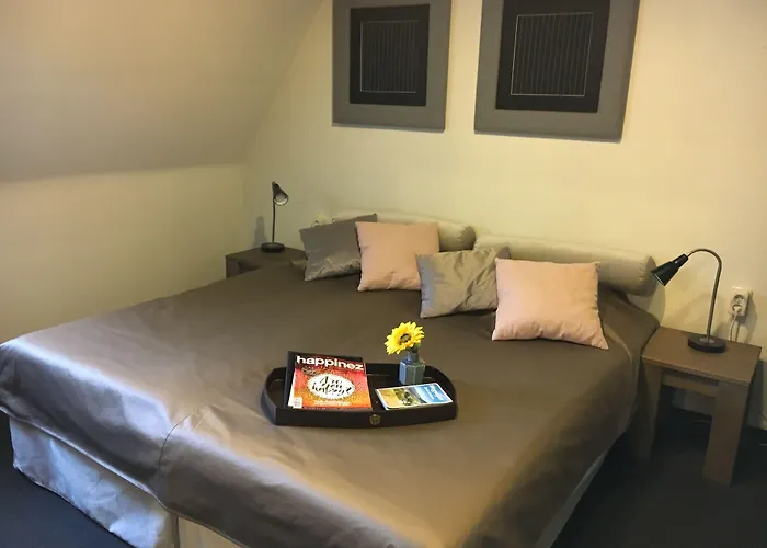 Kasteel 4* 도엔라드